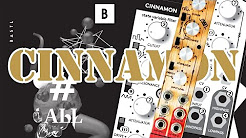 Bastl Instruments Cinnamon Eurorack Module | voltage-controlled state variable filter | demo performance